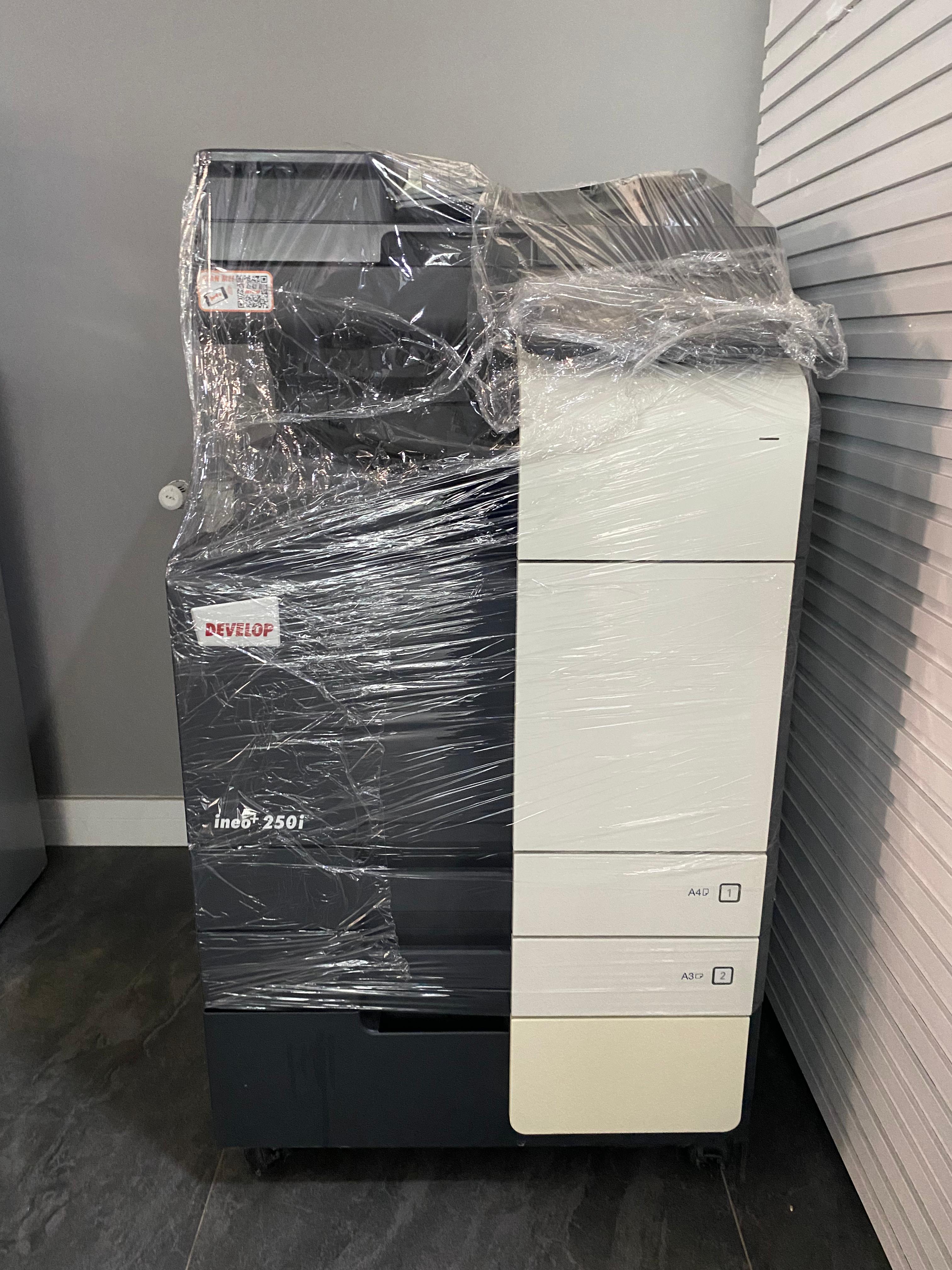 Develop ineo +250i